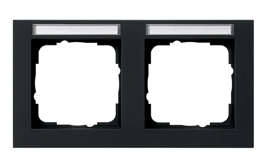 GIRA 109209 described Cover frame E2 2-fold, horizontal | matt black