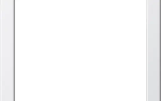 GIRA 264803 mounting frame system 55 standard | pure white shiny