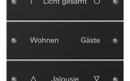 GIRA 2203005 TS3 rocker set for description service system 5 3-fold | matt black