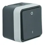 BERKER 30723505 surface-mounted rocker switch W.1 Off switch, 2-pole, OK | grey/light gray matt
