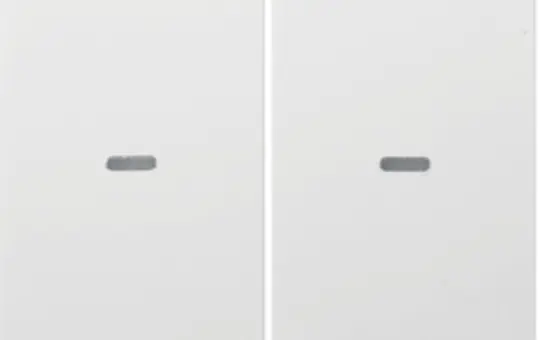 BERKER 80960389 Cover for pushbutton sensor S.1/B.3/B.7 2-fold | polar white glossy