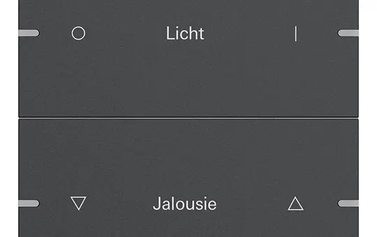 GIRA 5032928 rocker set writable for pushbutton sensor 4 2-fold | anthracite