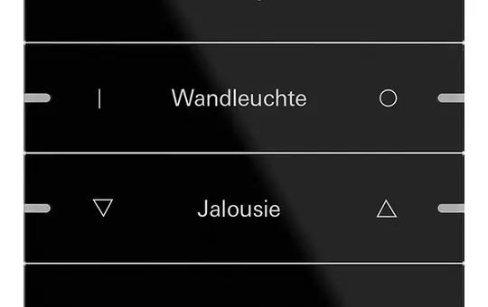 GIRA 503405 rocker set writable for pushbutton sensor 4 4-fold | glass black