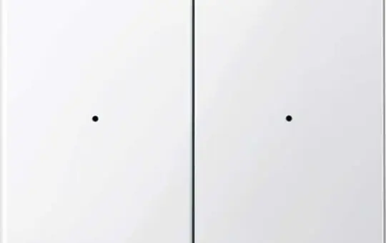 MERTEN MEG5220-0319 rocker for button module PlusLink System 2-fold | polar white glossy