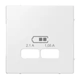 MERTEN USB cover System M 