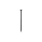 morepic-1