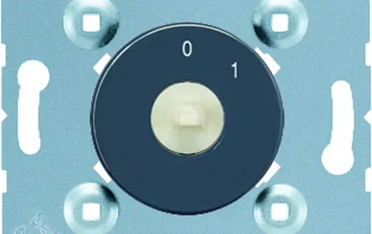 JUNG 1101-20 rotary switch Off switch, 2-pole