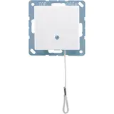 JUNG A506BFNUZWW pull change switch series A alpine white