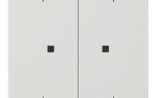 GIRA 5386112 electronic control rocker system surface 2-fold, arrows | pure white shiny