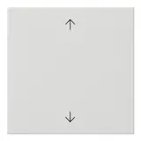 GIRA 538903 descr. Cover S3000 System 55 1-fold, arrows, small | pure white shiny