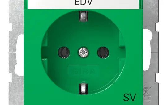 GIRA 4457107 descr. IT socket system 55 SV | green