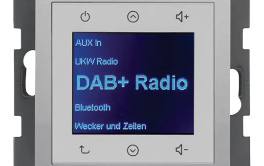 BERKER 29846084 UP radio Touch Q.1/Q.3 DAB+ | aluminum velvet
