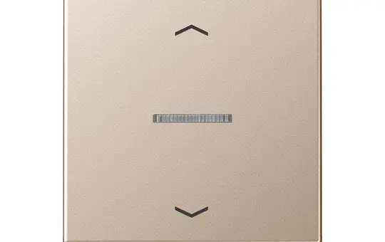 JUNG BTA17101PCH descr. Push button HOME series A 1-fold, arrows | champagne