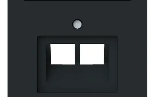 BUSCH-JAEGER 1803-02-45M Network coverage type linear 2-fold | matt black