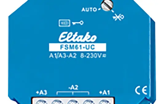 ELTAKO 30000300 EnOcean button interface 2-fold