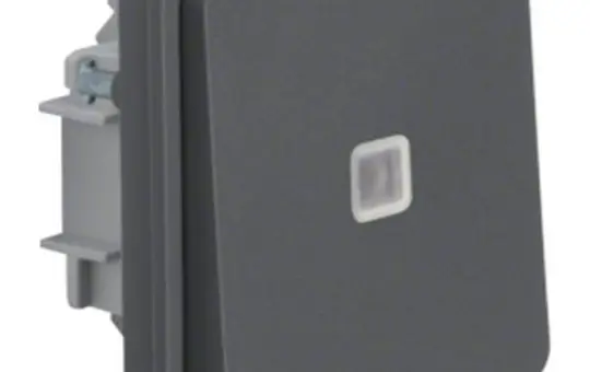 BERKER 30863515 AP/UP control switch insert W.1 1-fold, red | grey/light gray matt