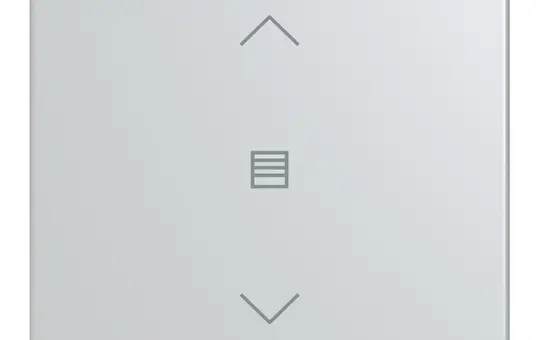 BUSCH-JAEGER LFJW/A.1.63.11-83 rocker for Keypad future 1-fold, blinds | aluminum silver