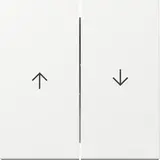 GIRA blind rocker System 55 new 