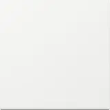 GIRA rocker system 55 new 