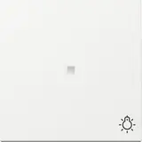 GIRA described Control rocker system 55 new 