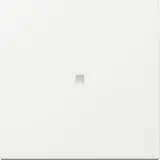 GIRA control rocker system 55 new 