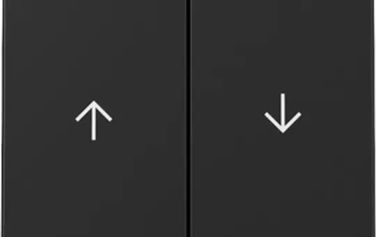 GIRA 3294005 blind rocker system 55 2-fold | matt black