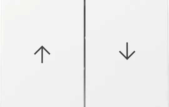 GIRA 329403 blind rocker system 55 2-fold | pure white shiny