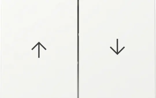 GIRA 329427 blind rocker system 55 2-fold | pure white matt