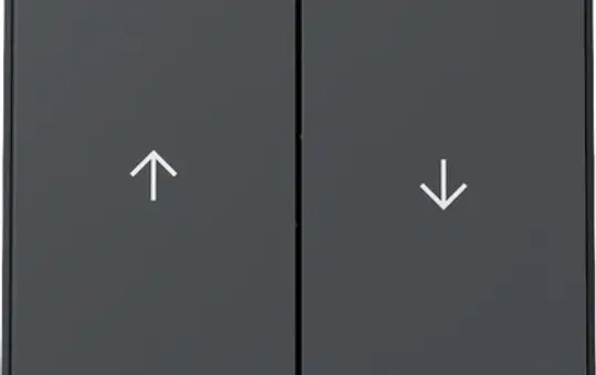 GIRA 329467 blind rocker TX_44 2-fold | anthracite