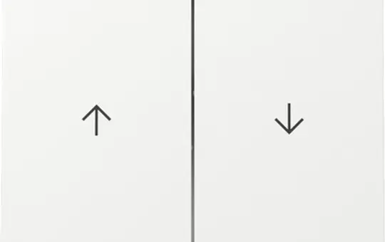 GIRA 329470 blind rocker system surface 2-fold | pure white