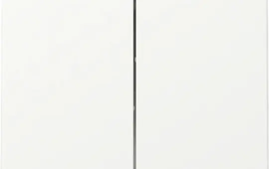 GIRA 329527 rocker system 55 2-fold | pure white matt