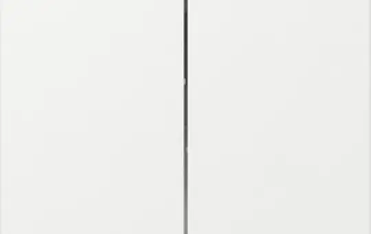 GIRA 349503 rocker system 55 2-fold, straight | pure white shiny