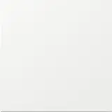 GIRA 329670 rocker system surface 1-fold | pure white shiny