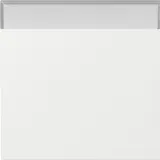 GIRA 329970 rocker system surface 1-fold, label field | pure white shiny