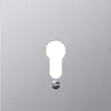 GIRA metal cover WG AP 