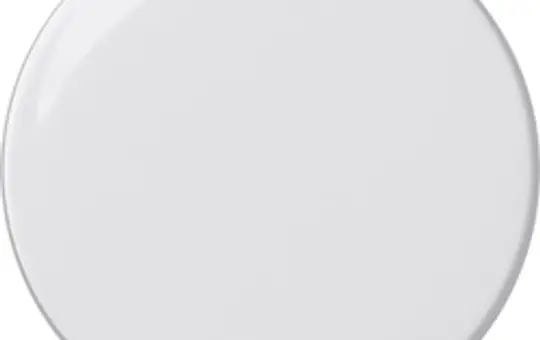 GIRA button for dimmer/potentiometer System 55 