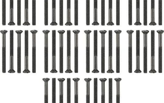 GIRA 818100 screw set WG AP Lens head screws