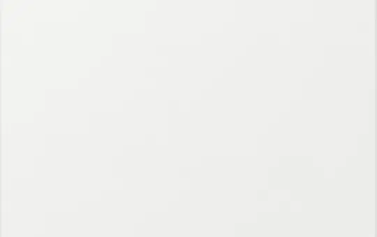 GIRA 349603 rocker system 55 1-fold, straight | pure white shiny