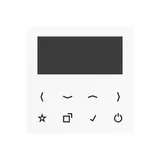 JUNG display for flush-mounted radio series A/AS 
