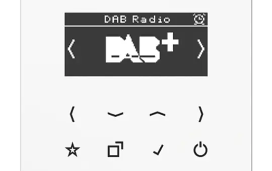 JUNG DABLSWW flush-mounted radio series LS DAB+ | WW