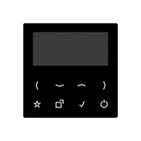 JUNG DABA-DISPSW display for flush-mounted radio series A/AS DAB+ | black