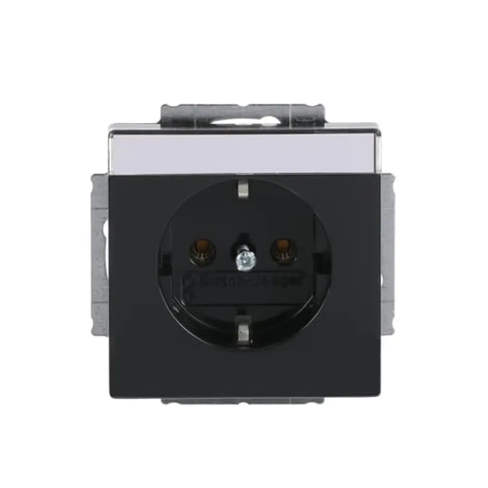 BUSCH-JAEGER 20 EUN-81 SCHUKO socket Future title block | anthracite ...