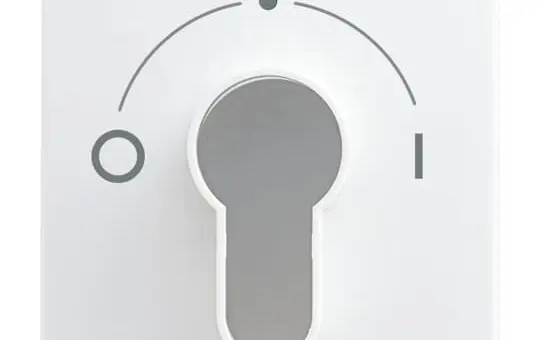 BUSCH-JAEGER 2557 SLPZ-914-101 Key switch balance IO | alpine white