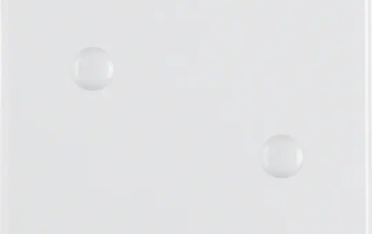 BERKER 155909 rocker wg UP IP44 1-fold, screw-on | polar white glossy