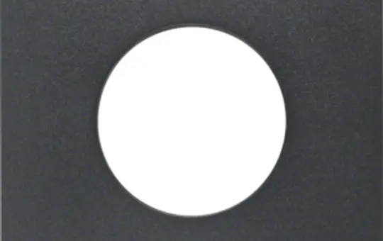 BERKER 11241606 push button cover S.1/B.3/B.7 for light signal E10 | anthracite matt