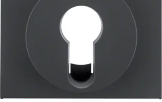 BERKER 15057006 central piece key switch K.1/K.5 standard | anthracite matt