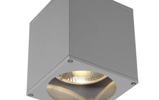 SLV 229554 Outdoor ceiling light BIG THEO QPAR111, IP44, eckig, max. 75 W | silver gray