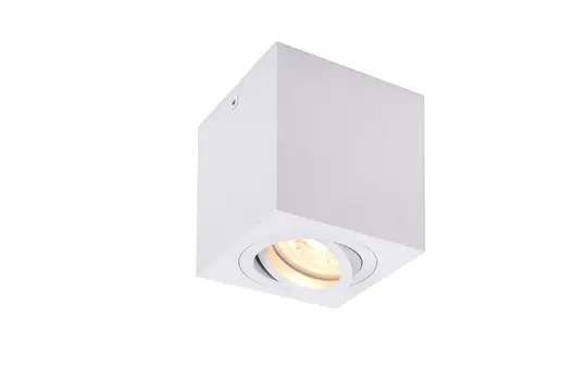 SLV 1002015 Indoor ceiling surface-mounted light TRILEDO single, QPAR51, max. 10 W, eckig | white