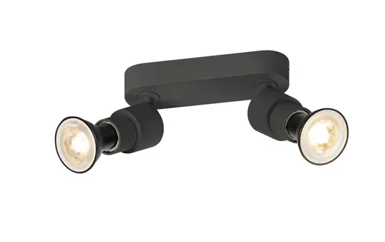 SLV 1008241 PURI 2.0 Basic wall and ceiling surf.-mnt. light 2x max. 6 W, GU10 | black