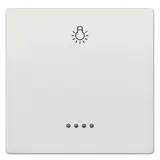 SIEMENS 5TG7146 described control rocker Delta style 1-fach, Licht | TIW